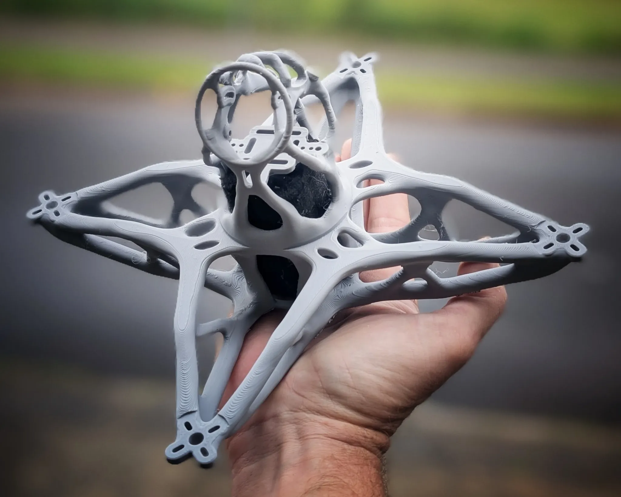 AeroDrone BIOFORM